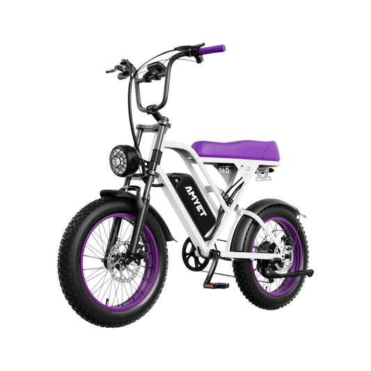 AMYET V9 - G60 1000W 20Ah Electric Bike